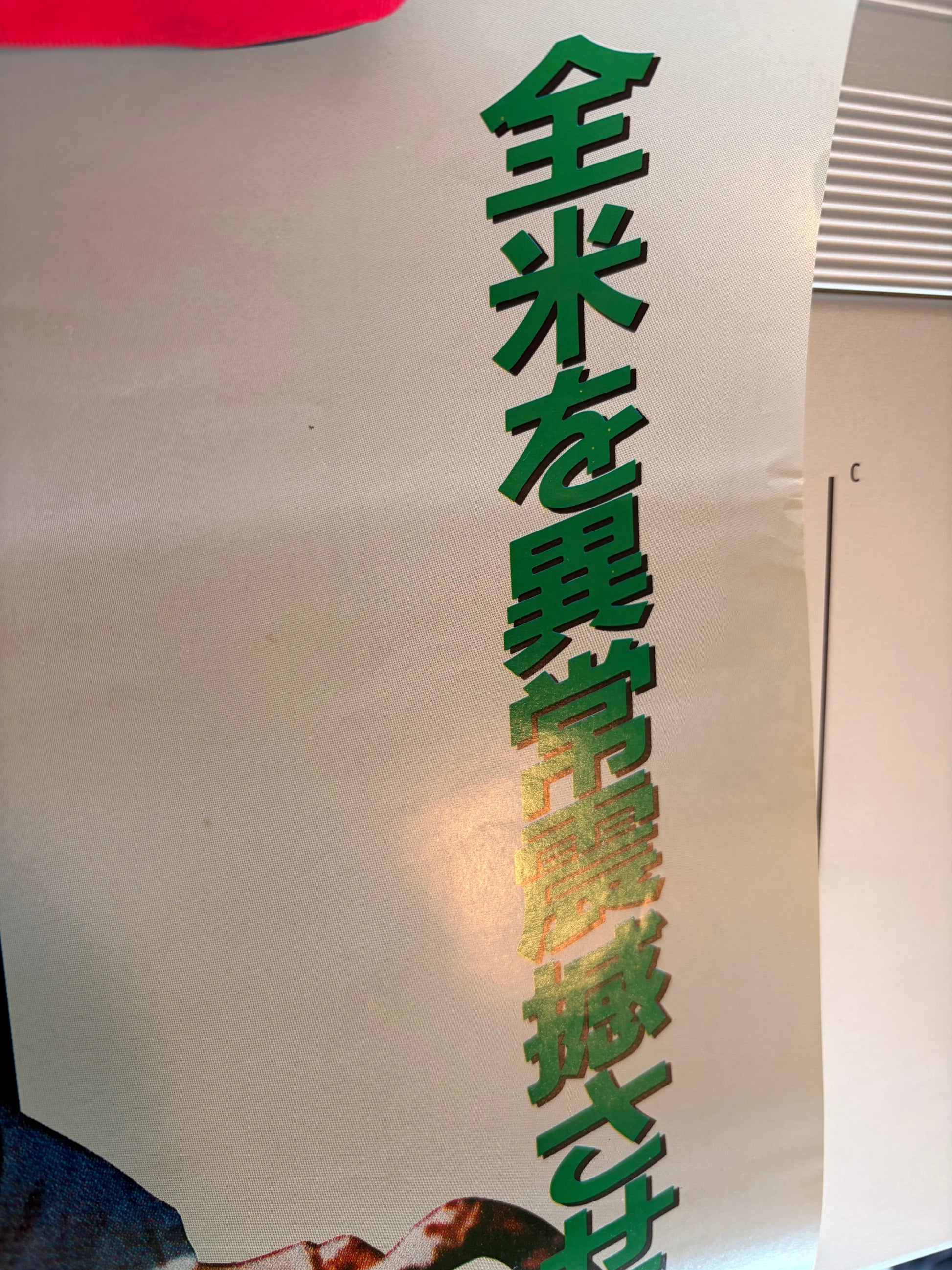 The Evil Dead (Original Japanese release 1985 B2 51x73cm) Vintage posters