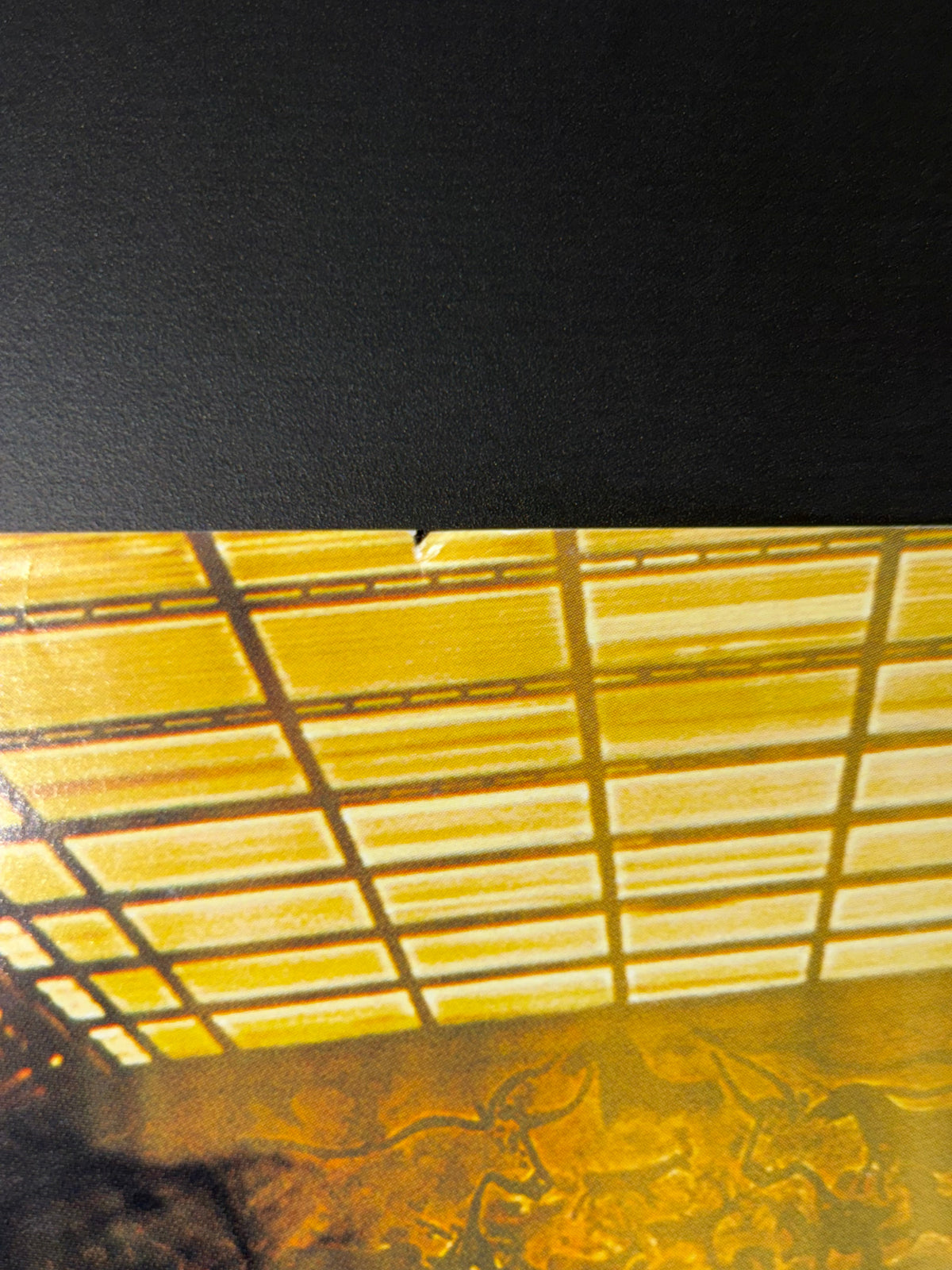 The Extraordinary Adventures of Adèle Blanc-Sec (2010) Original Japanese B2 Poster - Condition detail 9