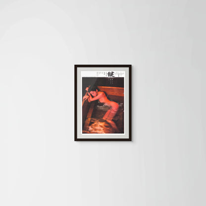 The Key (Original Japanese release 1997 B2 Heavyweight 51x73cm) Vintage posters