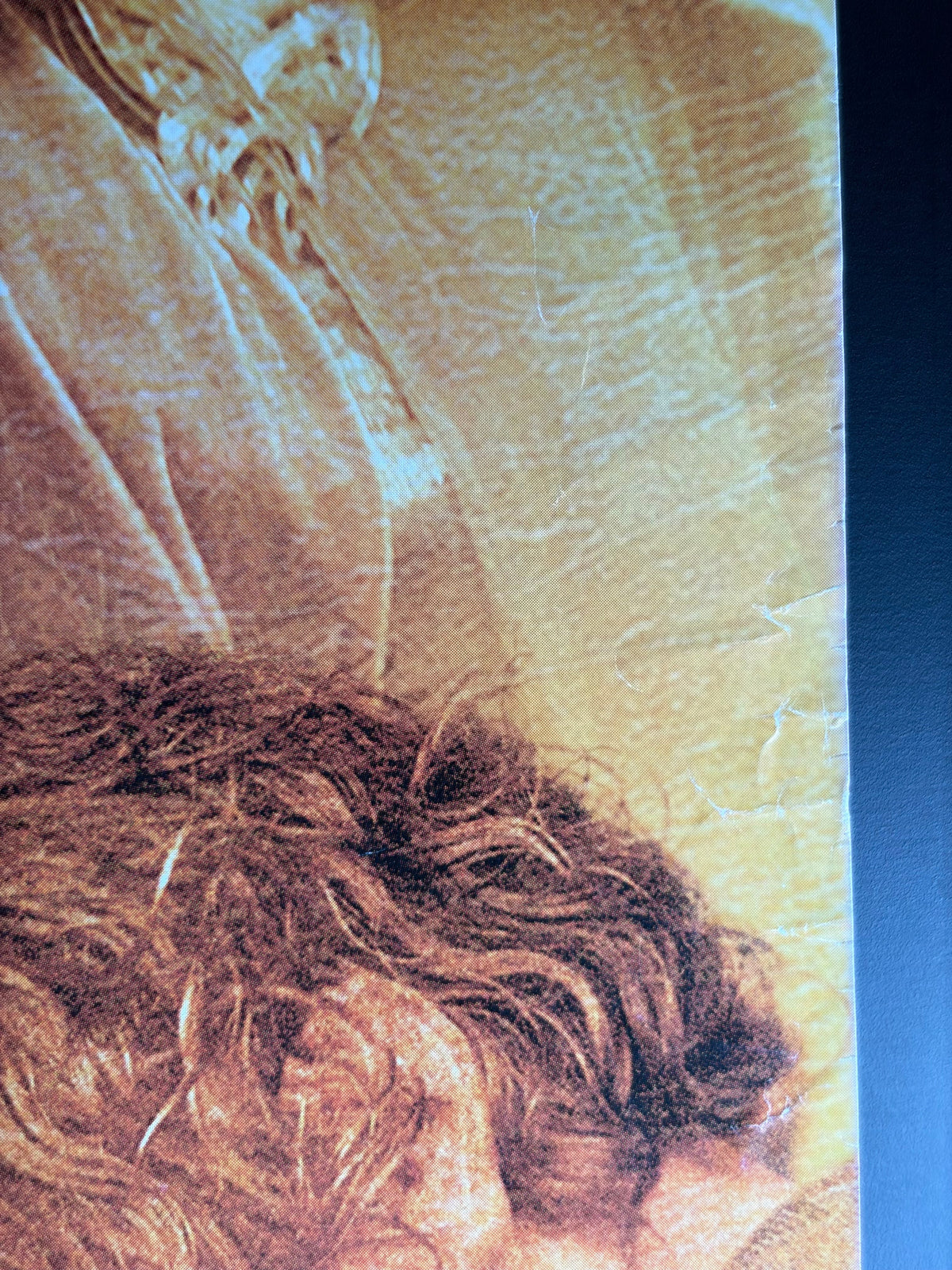 The Lord of the Rings: The Return of the King (2004) Original Japanese B2 Poster - Condition detail 2