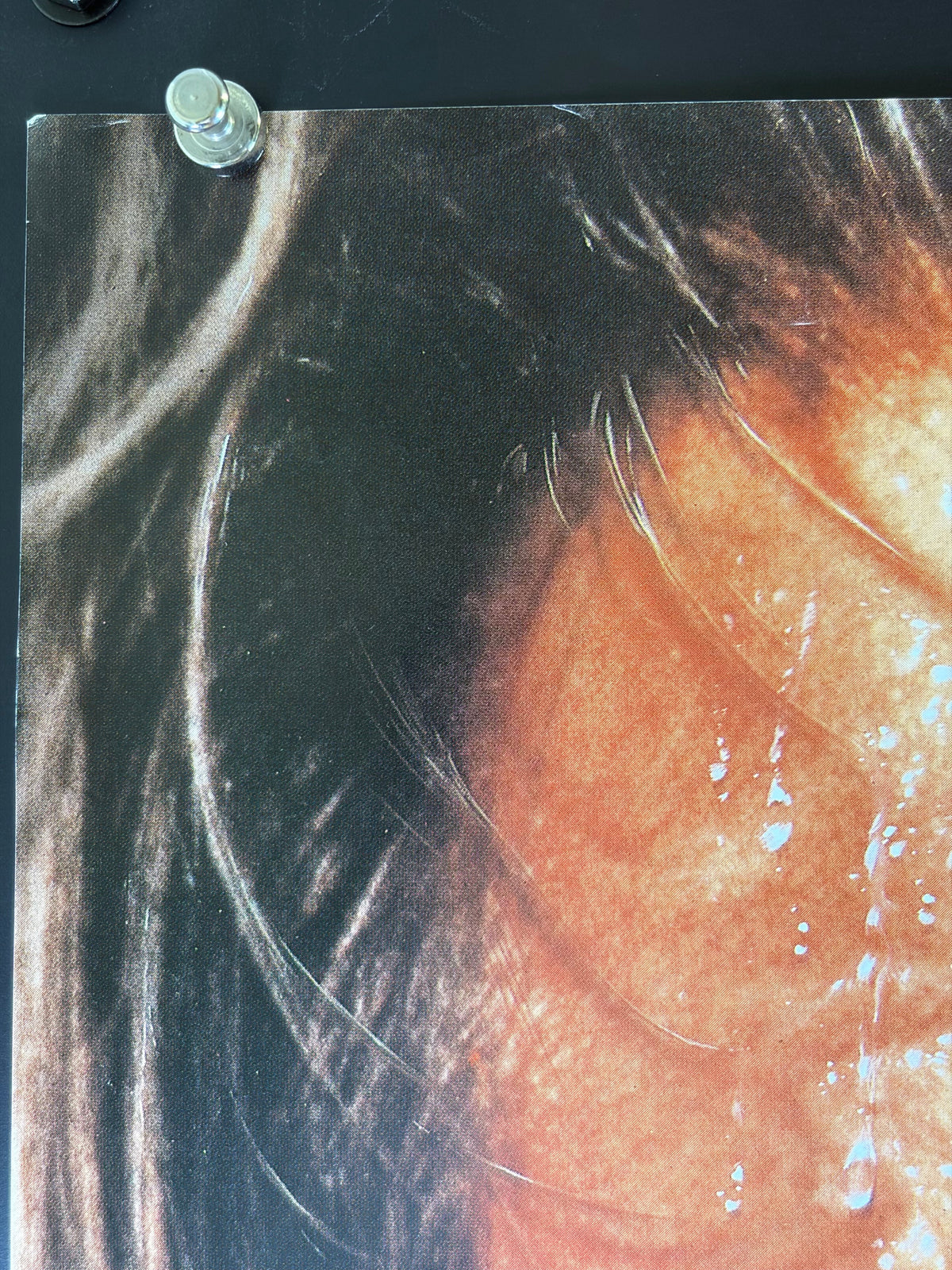 The Mosquito Coast (1987) Original Japanese B2 Poster - Condition detail 7