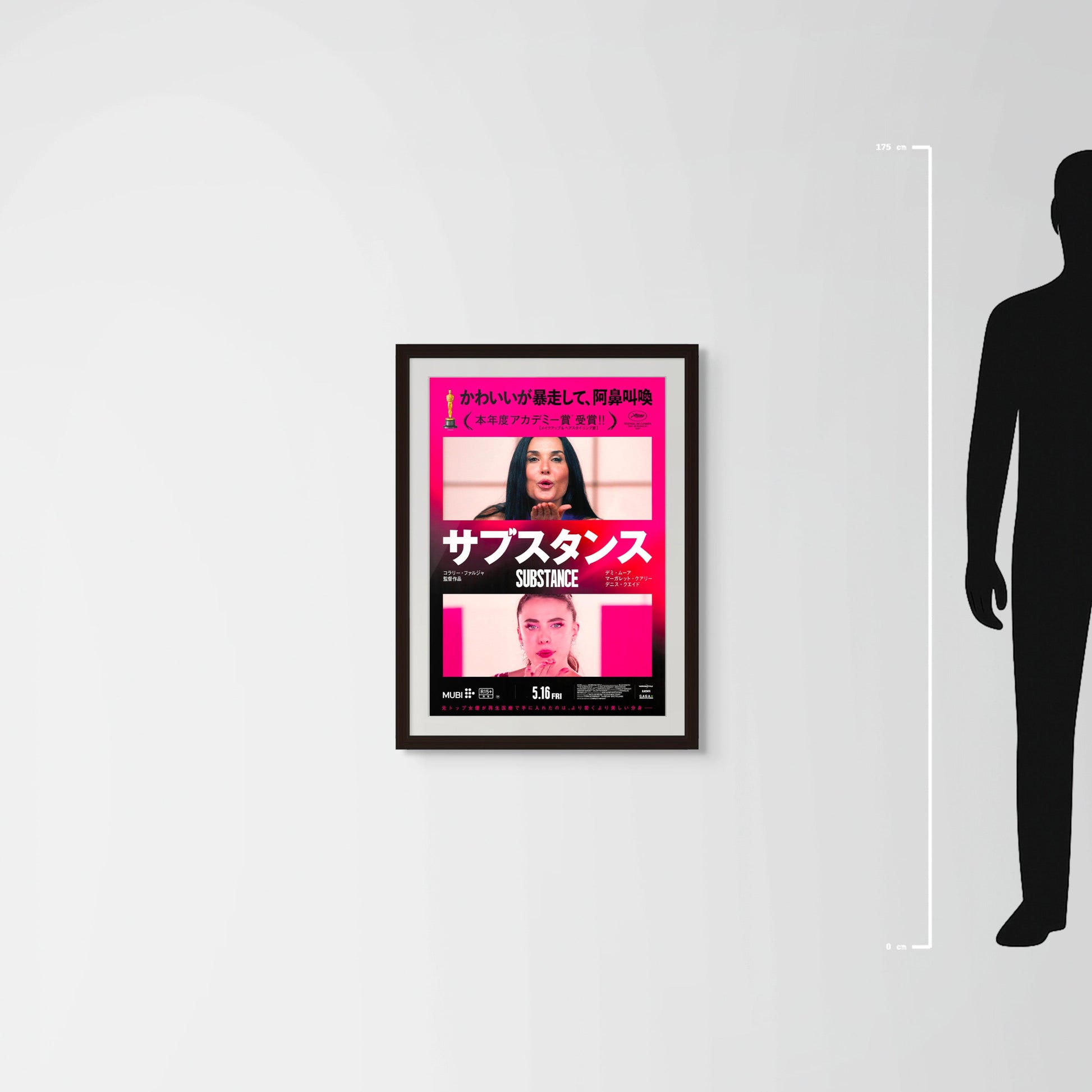 The Substance (Original Japanese release 2025 B2 51x73cm) Vintage posters