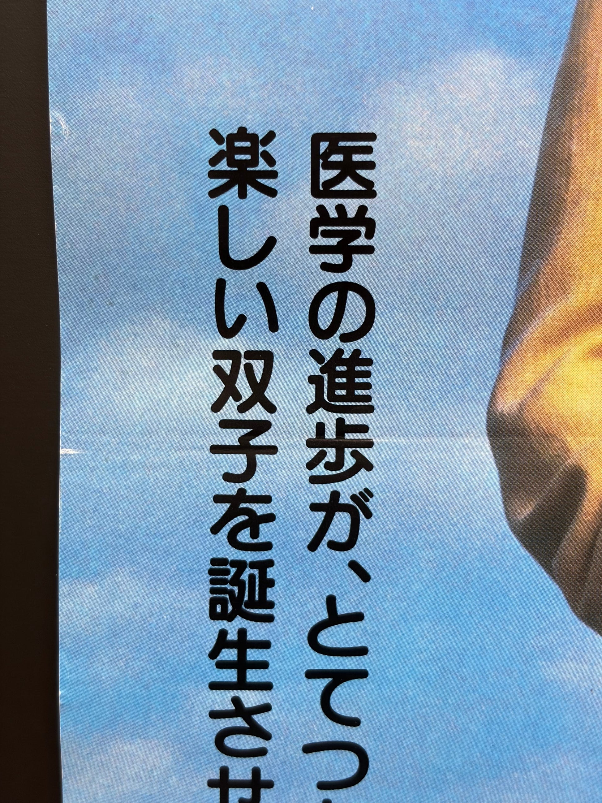 Twins (1988) Original Japanese B2 Poster - Condition detail 6