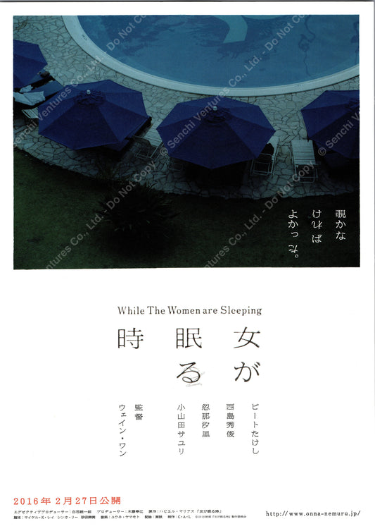 While The Women Are Sleeping (Original Japanese release 2016 B5 18x25cm) Vintage posters