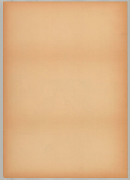 Wired (Original japanese release 1989 B2 51x73cm)